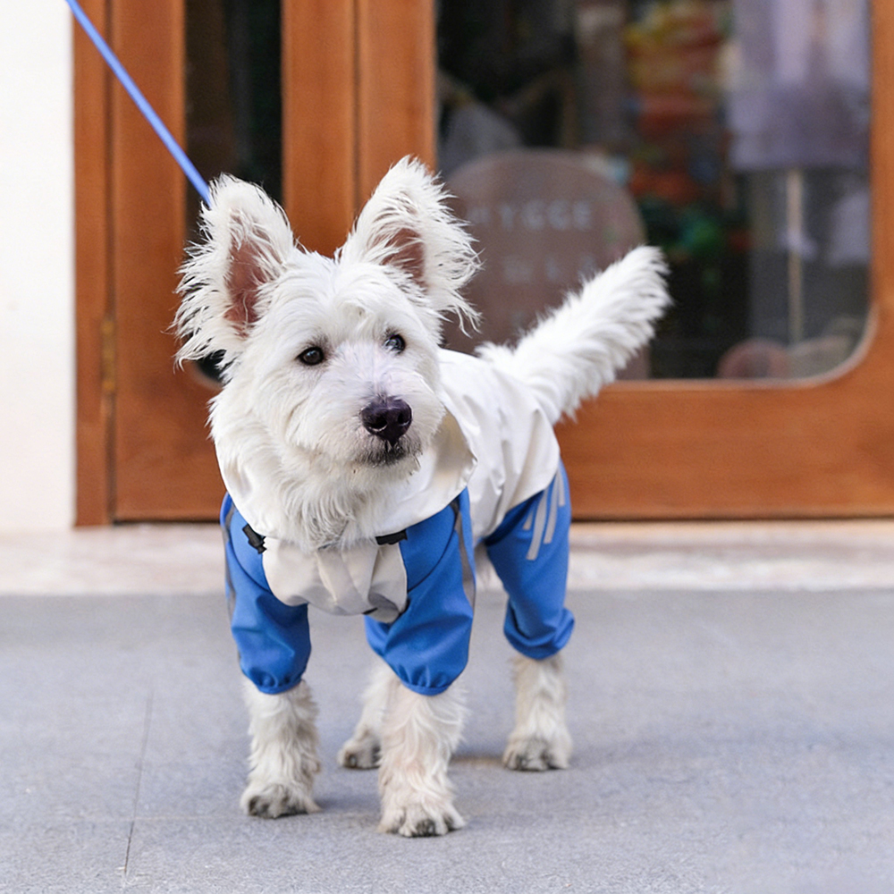 Personalized Pet Waterproof Raincoat with Hood | BKPet366