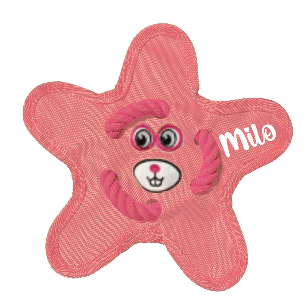 Personalized Star Flying Disc Squeaky Dog Toy | BKPet386
