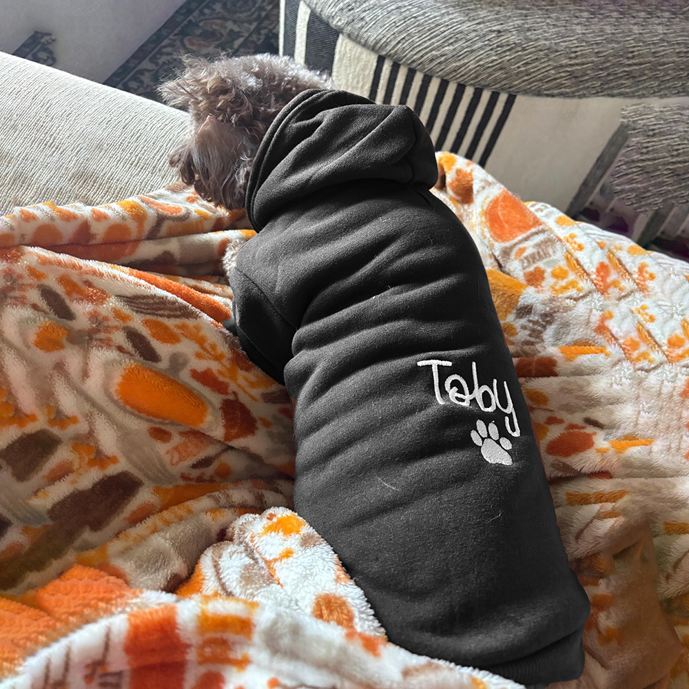 Personalized Embroidery Warm Soft Large Size Puppy Hoodie | BKPet362