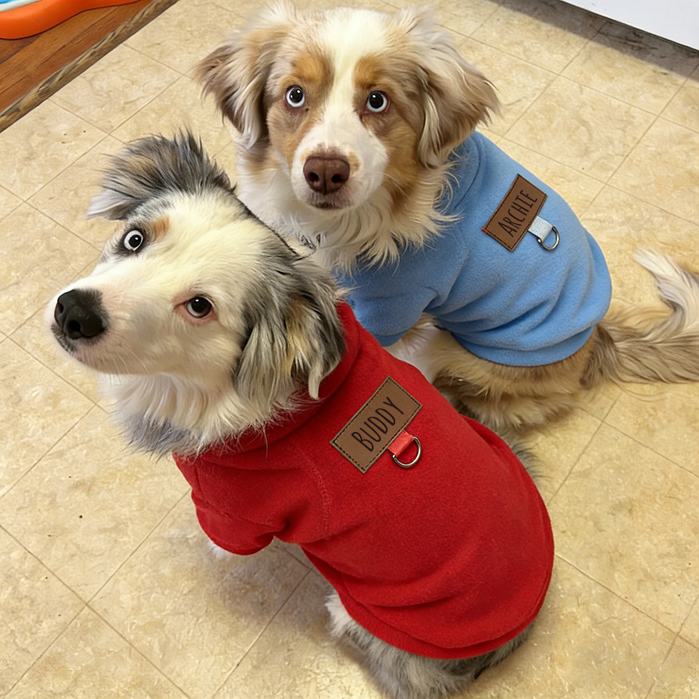 Personalized Leather Patch Pets Color Sweatshirts | BKPet91