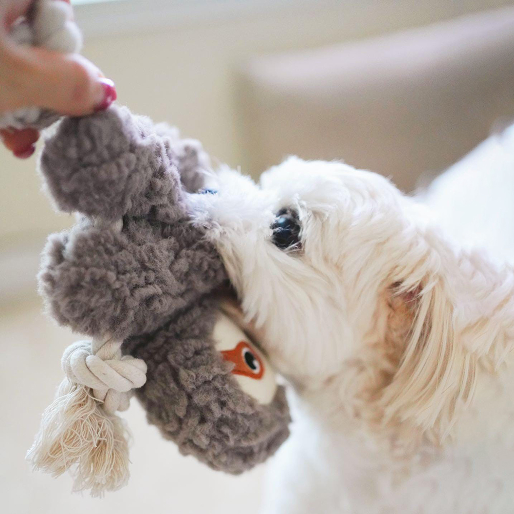 Handmade Pet Squeaky Interactive Chew Toy | BKPet396