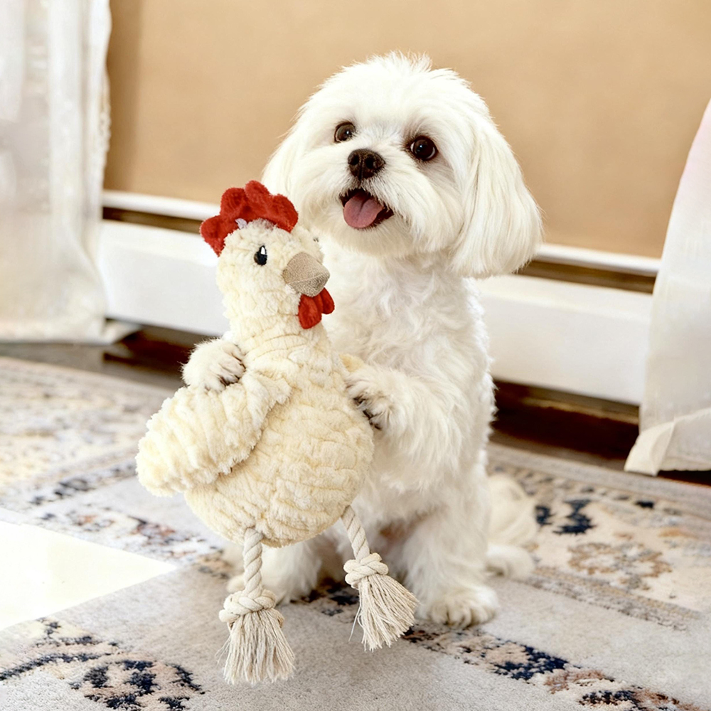 Handmade Pet Squeaky Interactive Chew Toy | BKPet396