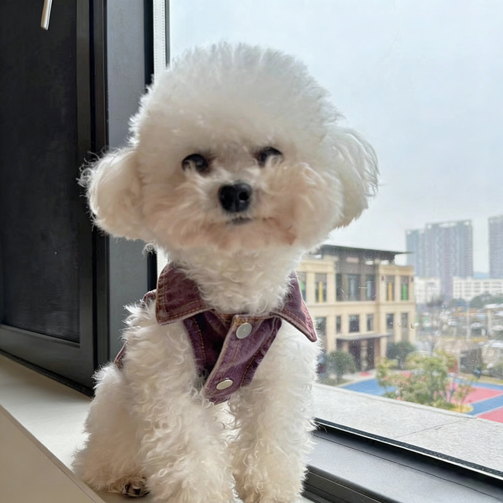 Personalized Handmade Chenille Patch Pets Denim Jacket | BKPet405