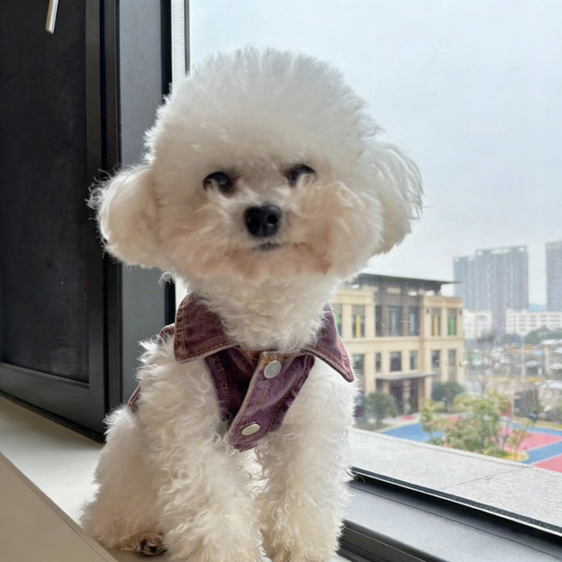 Personalized Handmade Chenille Patch Pets Denim Jacket | BKPet405