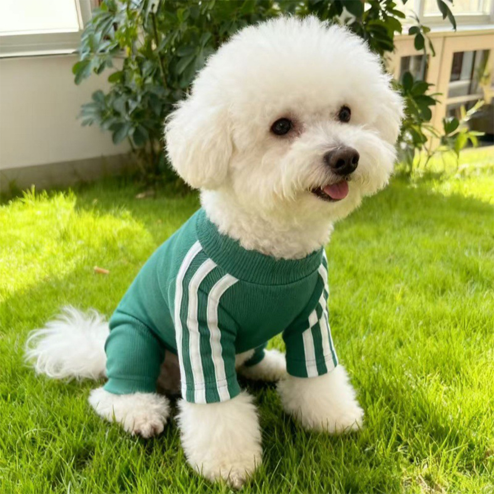 Personalized Pet Soft Striped Long Sleeves Sweatshirt | BKPet406