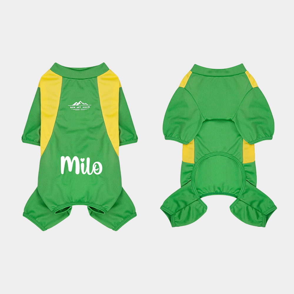 Personalized All-season Large Size  Puppy Shirt | BKPet413