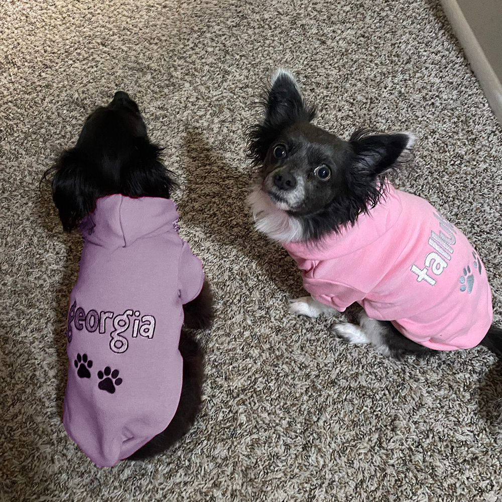Personalized Embroidered Pet Comfortable Soft Hoodie | BKPet419
