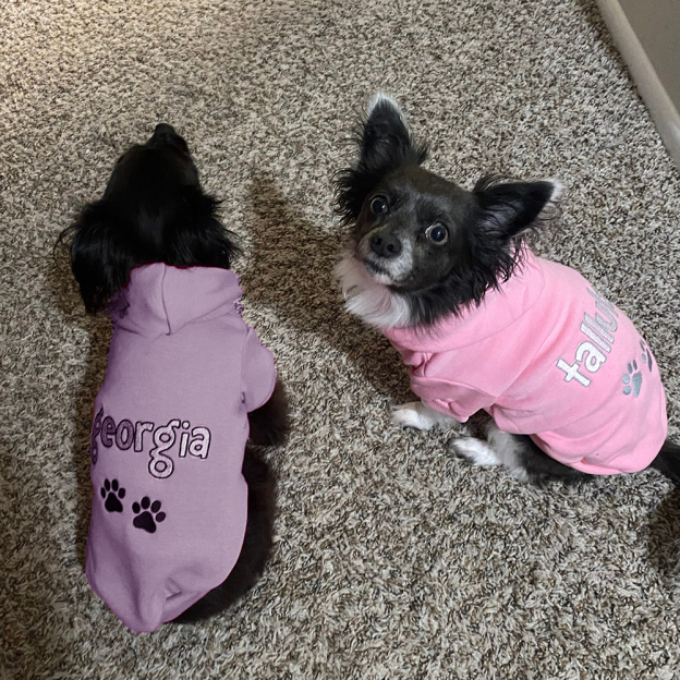 Personalized Embroidered Pet Comfortable Soft Hoodie | BKPet419