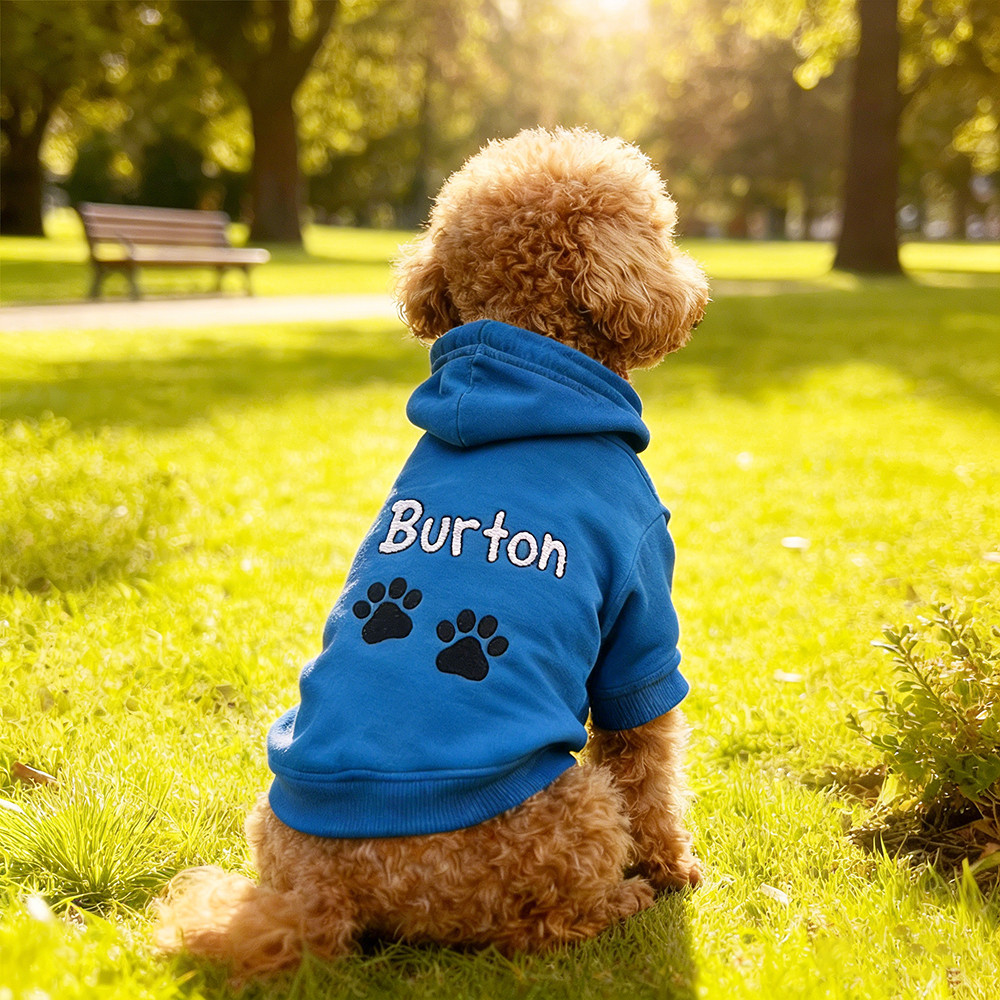 Personalized Embroidered Pet Comfortable Soft Hoodie | BKPet419