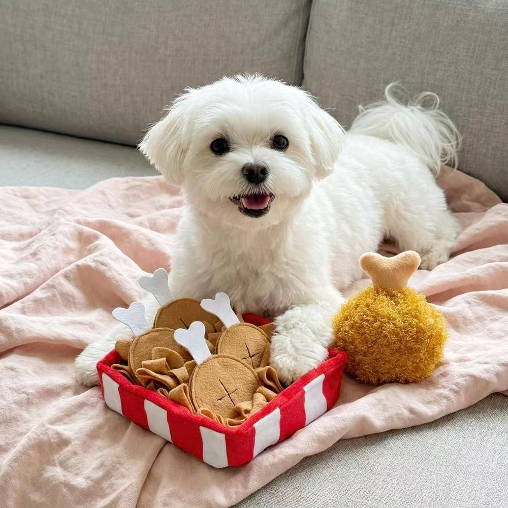 Creative Slow Feeder Chicken Pet Training Toy | BKPet431