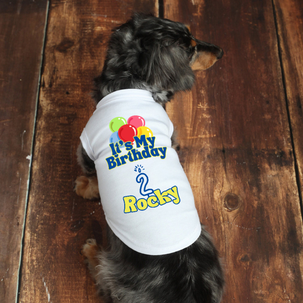 Personalized It’s My Birthday Pet Shirt | BKPet449