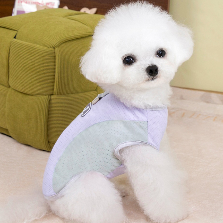 Personalized Breathable Pet Summer Cool Mesh Vest | BKPet450