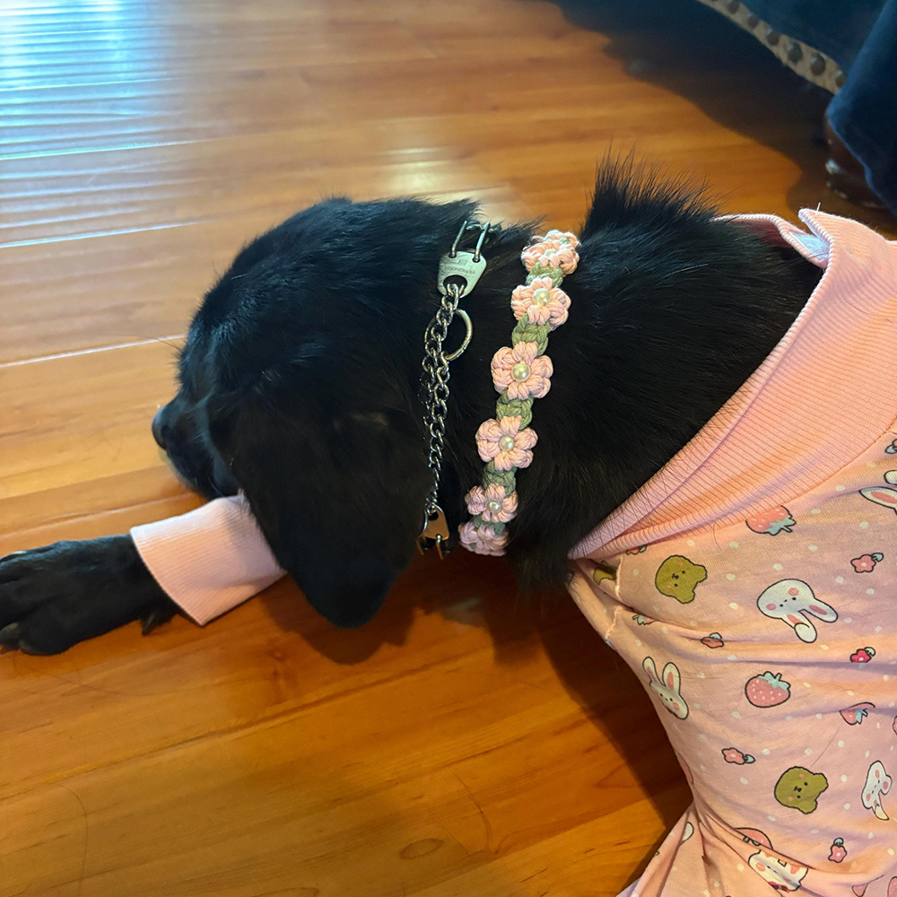 Personalized Handmade Macrame Flowers Pet Collar | BKPet457