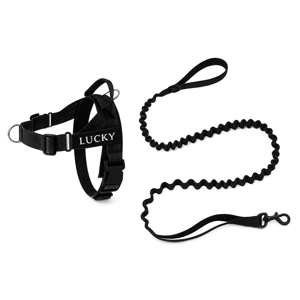 Personalized Embroidered Dog Harness & Leash Set | BKPet462