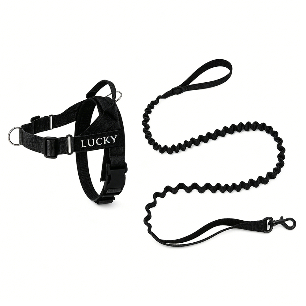 Personalized Embroidered Dog Harness & Leash Set | BKPet462