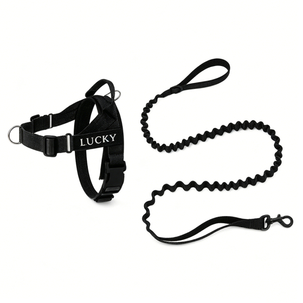 Personalized Embroidered Dog Harness & Leash Set | BKPet462