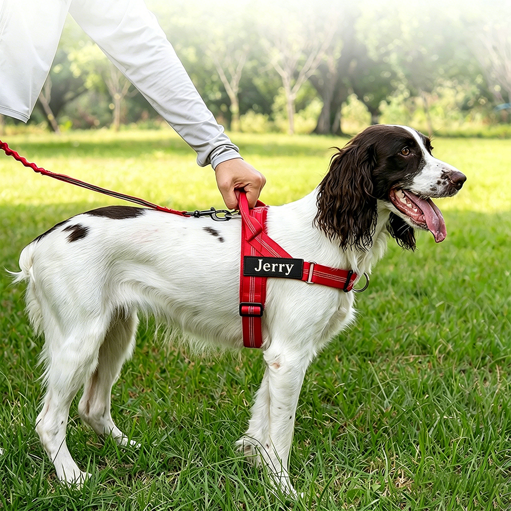 Personalized Easy-on Dog Harness & Leash Set | BKPet462