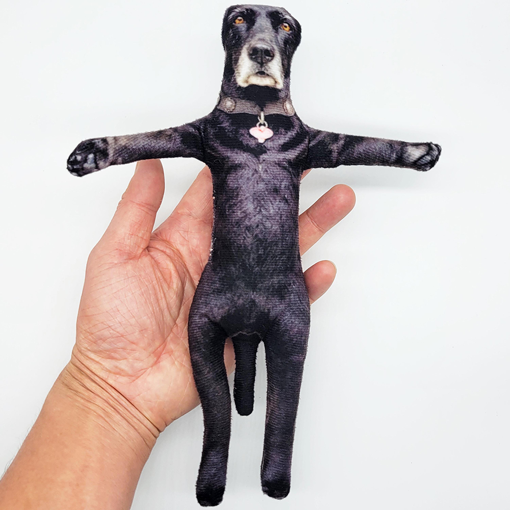 Personalized Mini Me Doll with Poseable Body | CWToy198