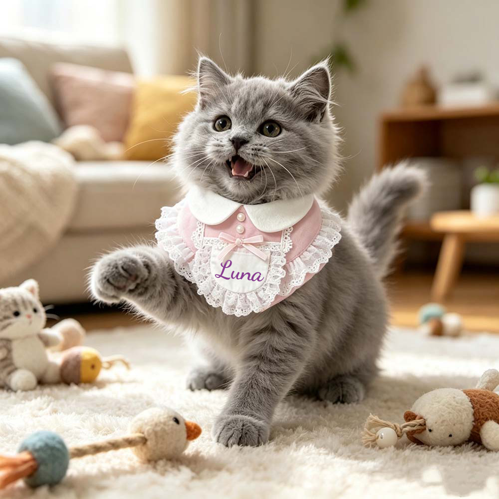 Personalized Wedding Pet Cute Little Maid Bow Bib | BKPet566