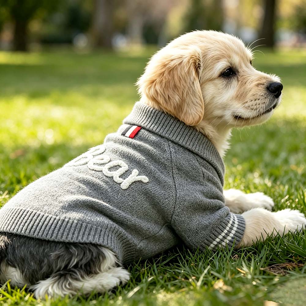 Personalized Hand Embroidered Pets Knit Cardigan | BKPet582