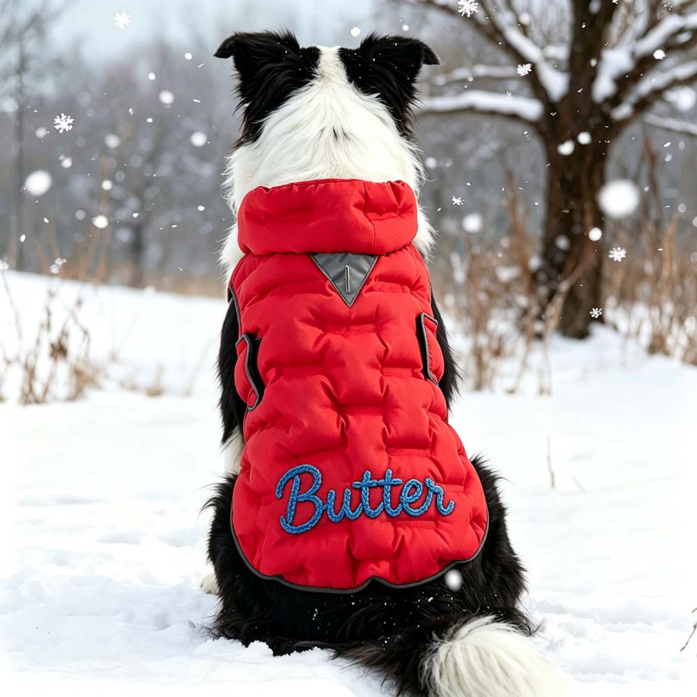 Personalized Hand Embroidered Dog Winter Warm Puffer Vest | BKPet589