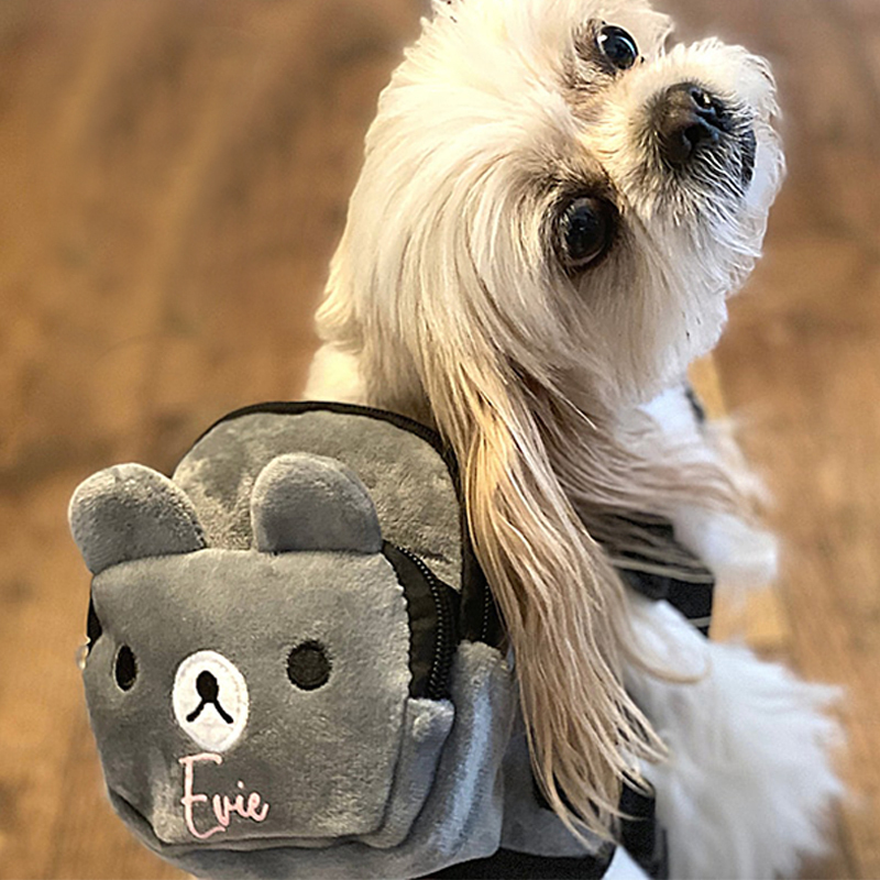 Personalized Cartoon Bear Pet Backpack| BKPet49