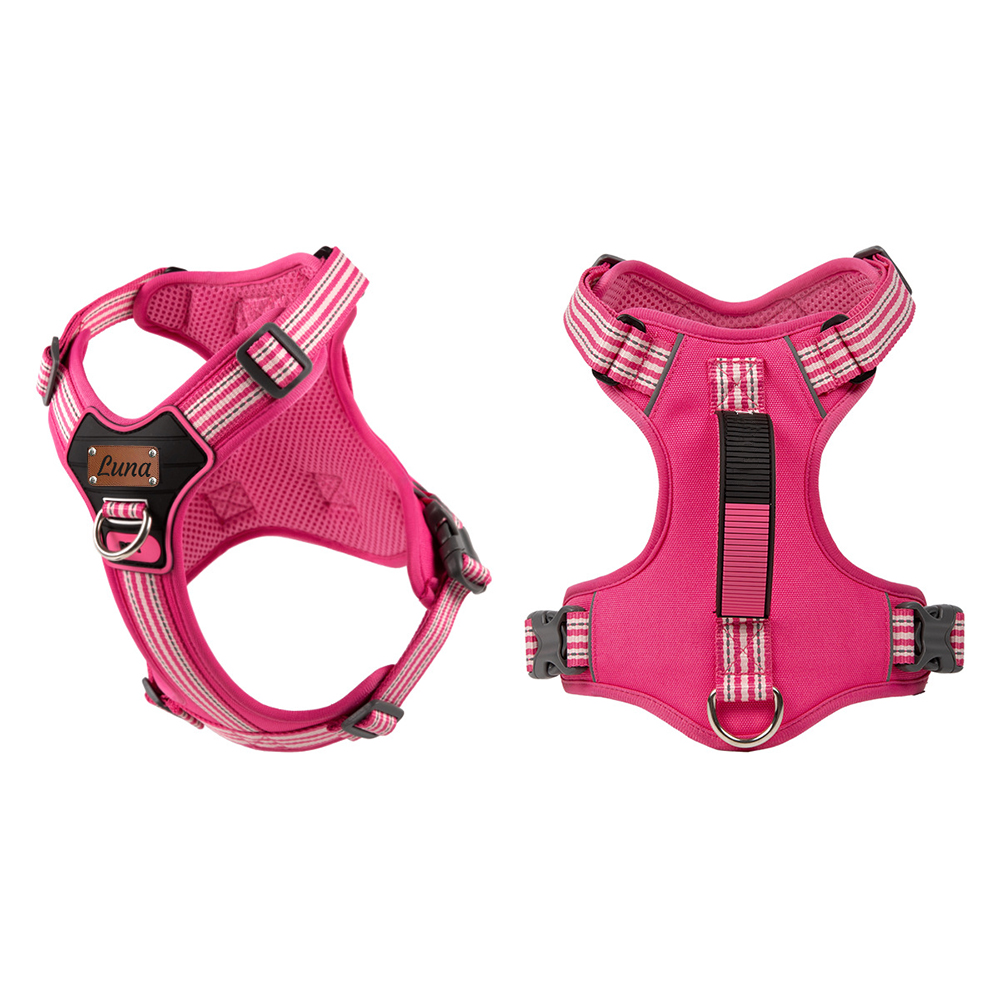 Personalized Explosion-Proof Reflective Dog Harness | BKPet596