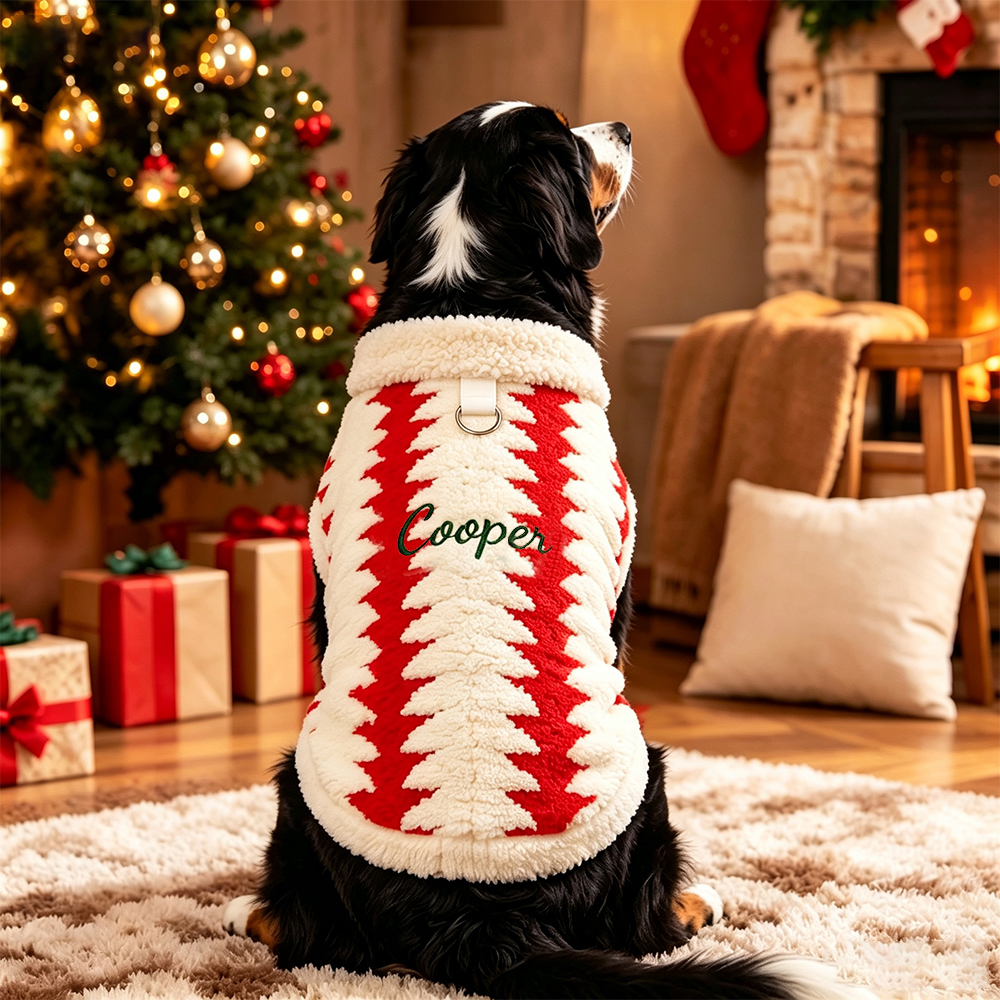 Personalized Embroidered Christmas Dog Sweater | BKPet603