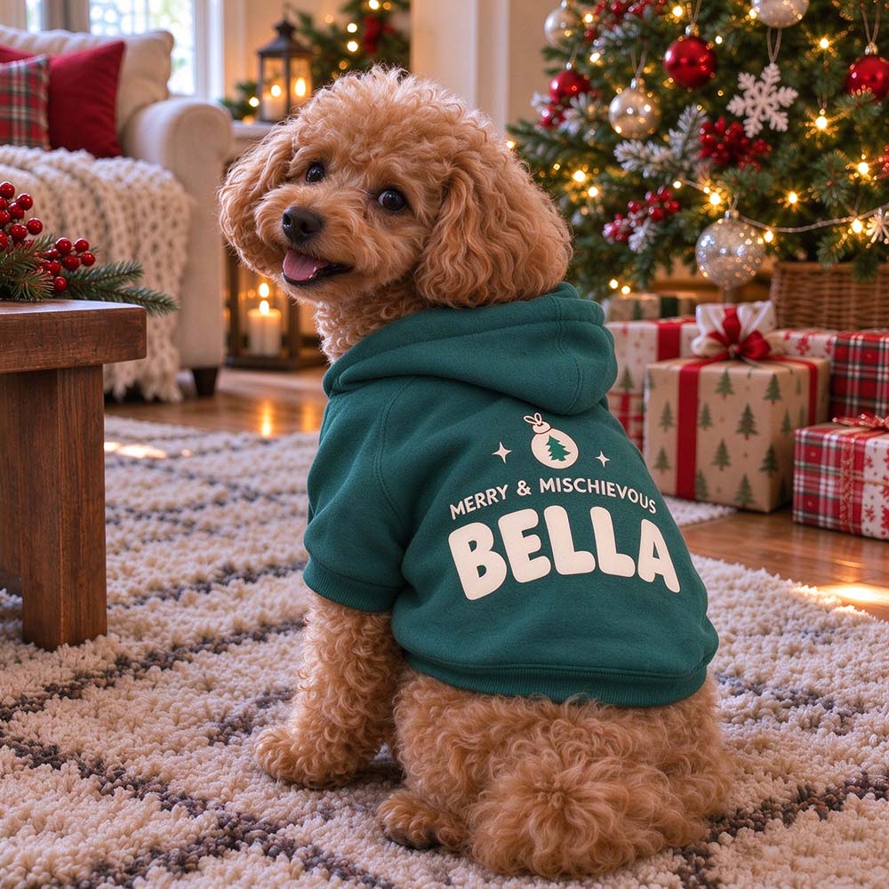 Personalized Christmas Pets Merry & Mischievous Hoodie | MCGift435