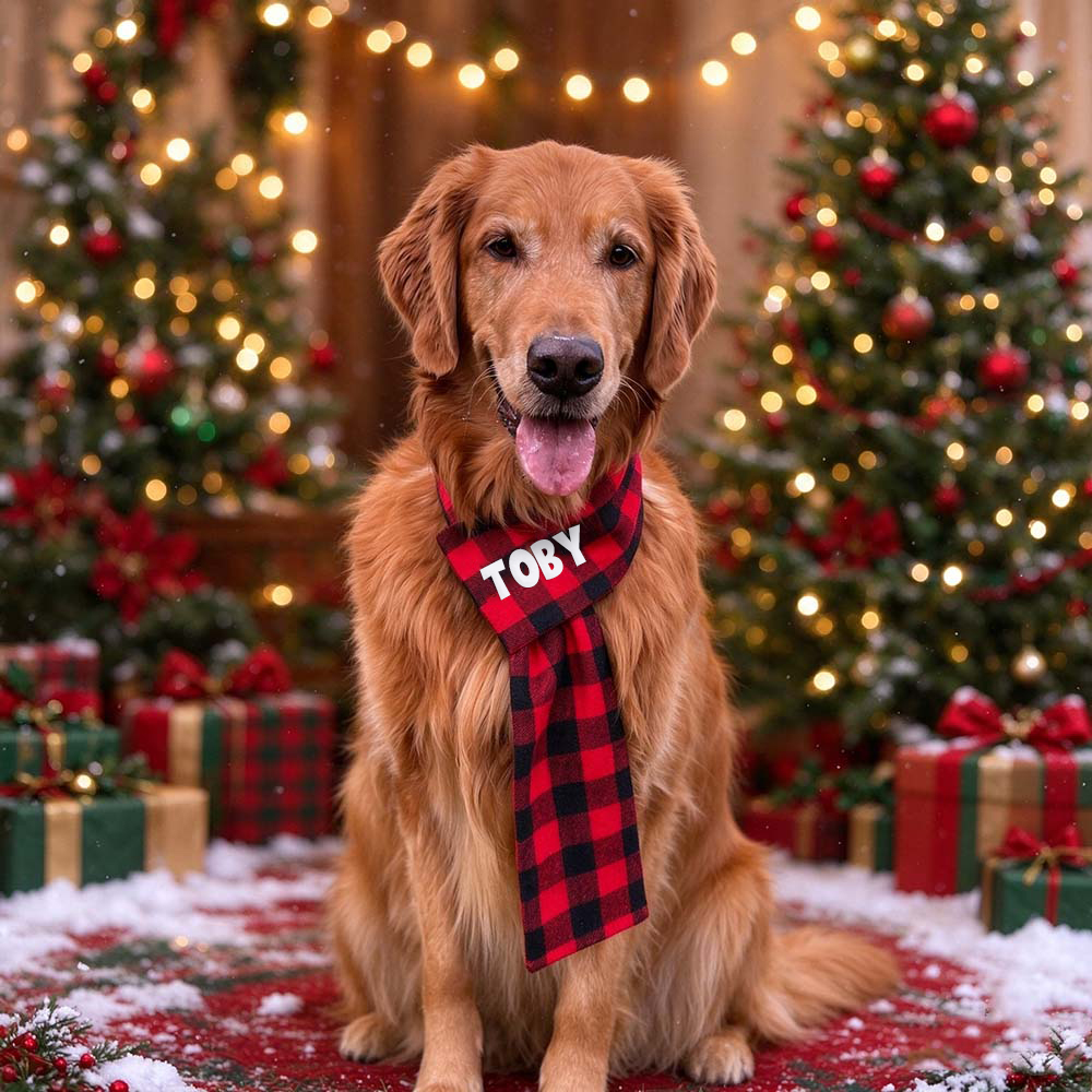 Personalized Pets Christmas Adjustable Plaid Scarf | BKPet642