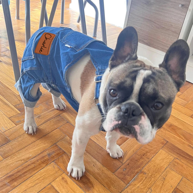Personalized Leather Patch Pets Classic Overall Dungarees | BKPet56