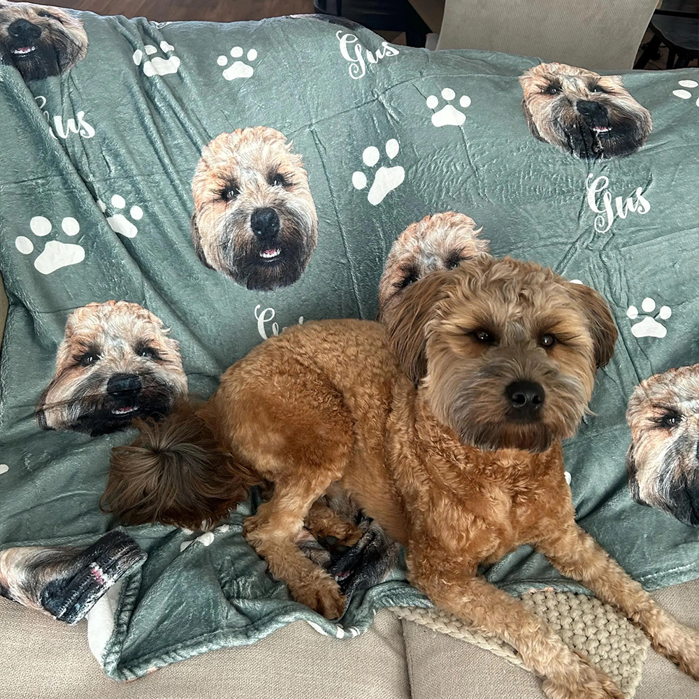 Personalized Lovely Pet Blanket for Comfort & Unique | BKPet112