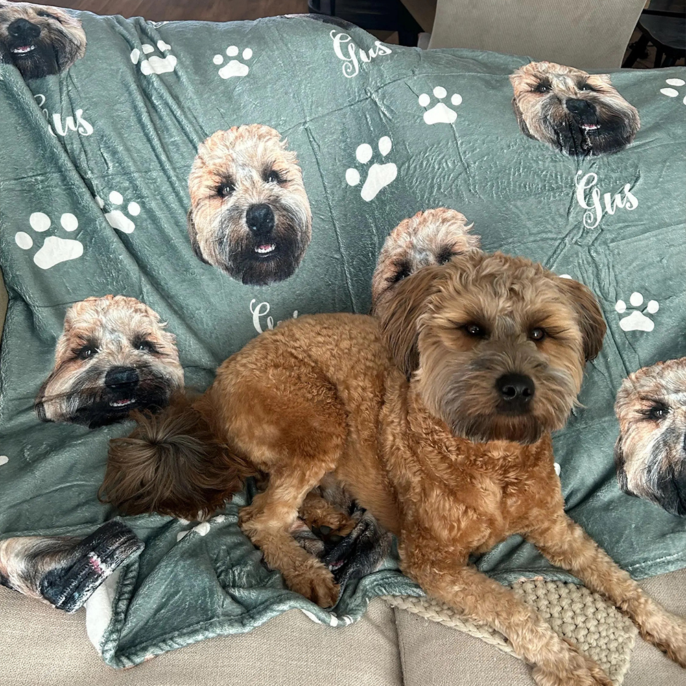 Personalized Lovely Pet Blanket for Comfort & Unique | BKPet112