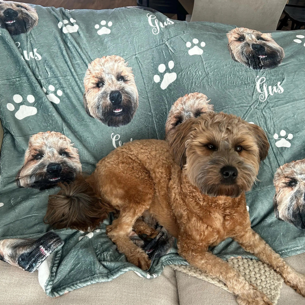 Personalized Lovely Pet Blanket for Comfort & Unique | BKPet112