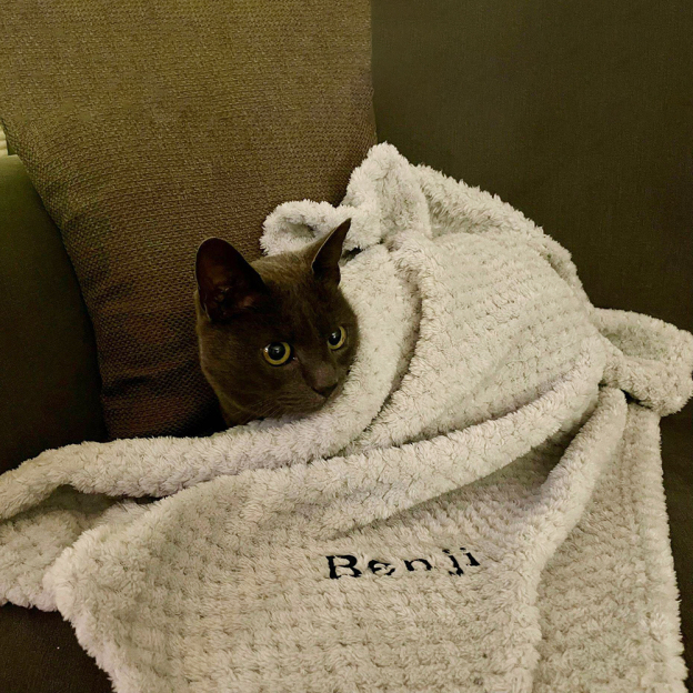 Personalized Embroidered Pet Soft Waffle Blanket | BKPet197