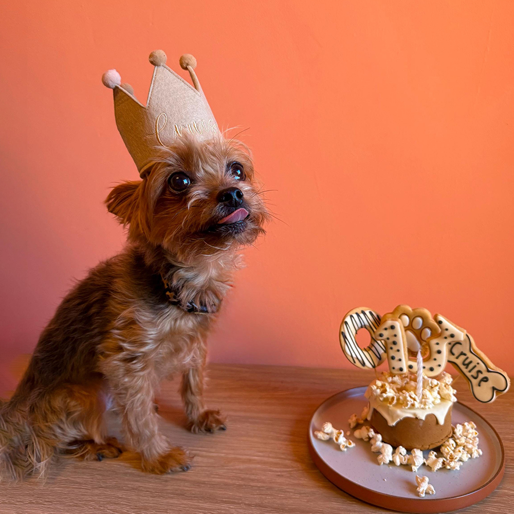 Personalized Embroidered Pet Felt Birthday Crown | BKPet443