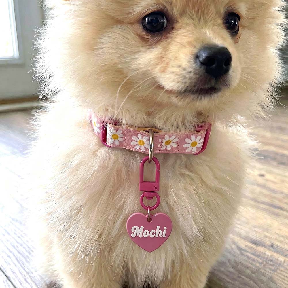 Personalized 3D Printed Pets ID Tag | BKPet575