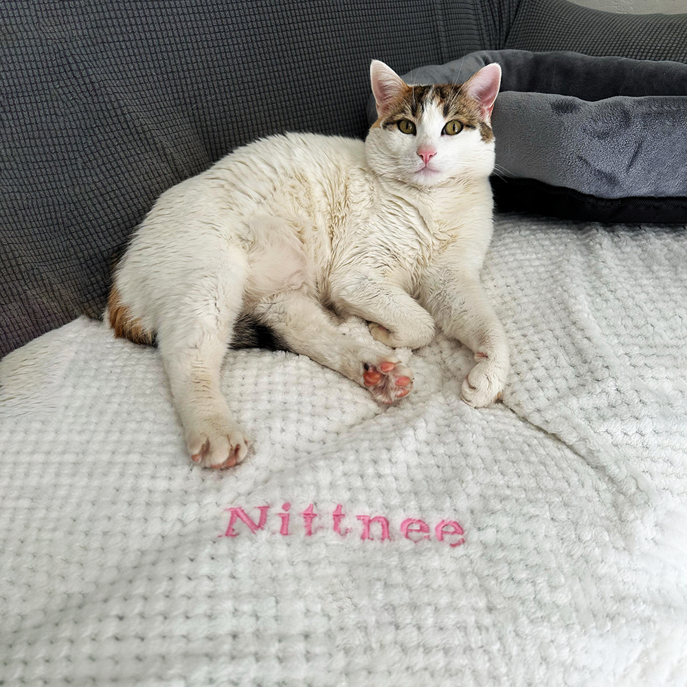 Personalized Embroidered Pet Soft Waffle Blanket | BKPet197