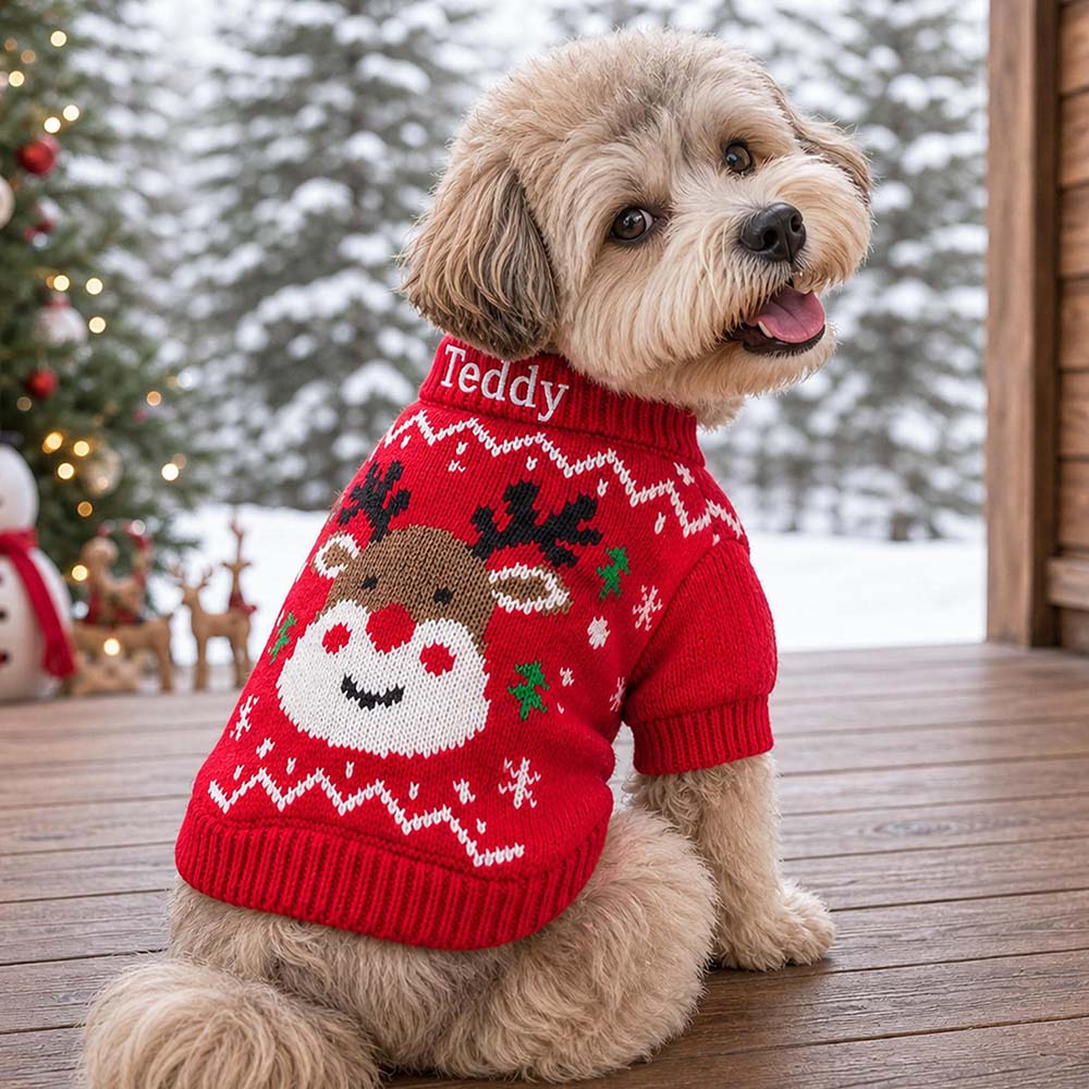 Personalized Embroidered Pets Christmas Cute Knit Sweater | MCGift427