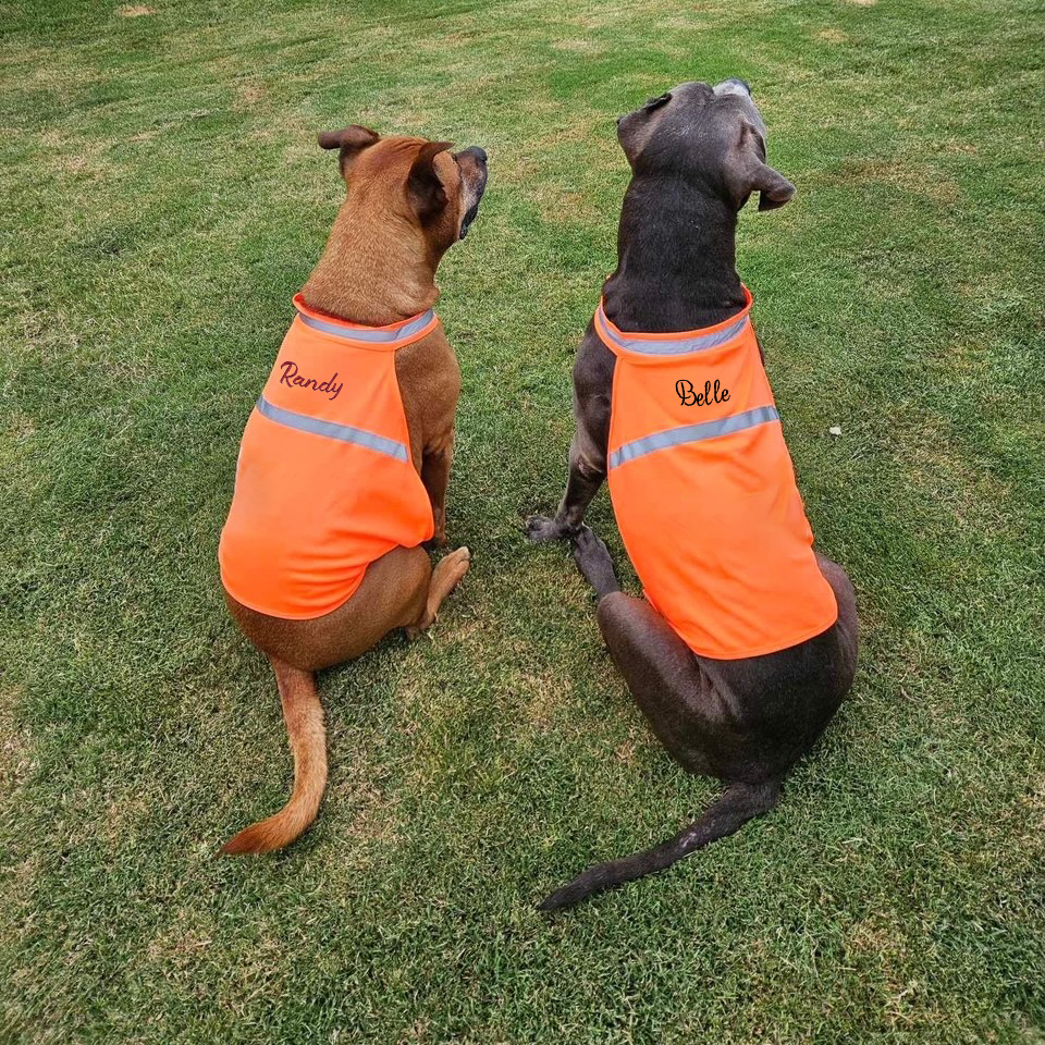 Personalized Pet Reflective Safety Bandana & Vest Set | BKPet163
