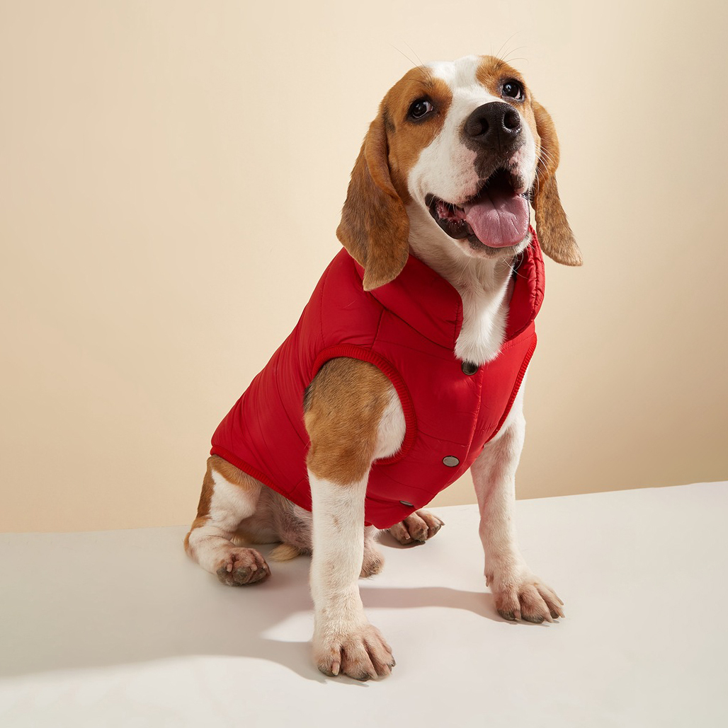 Personalized Pet Winter Warm Puffer Vest | BKPet14801