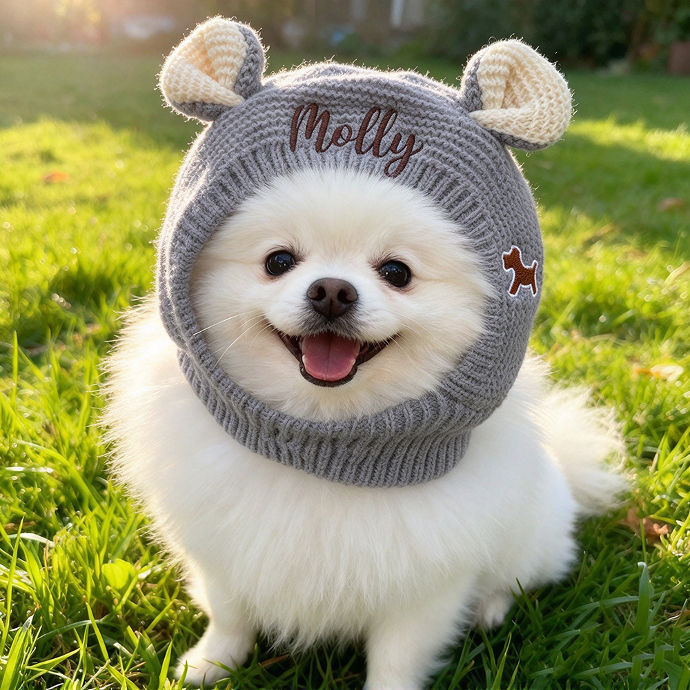 Personalized Embroidered Pet Winter Anti Noise Earmuffs Hat | BKPet206