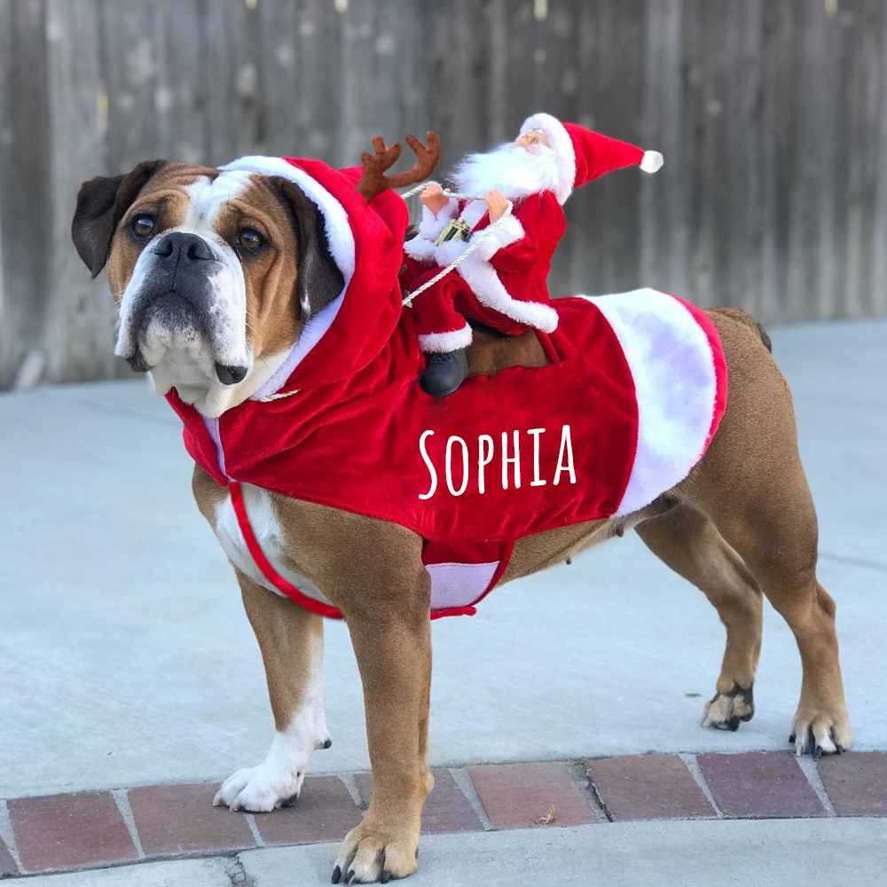 Personalized Christmas Santa Pet Riding Clothes | BKPet96