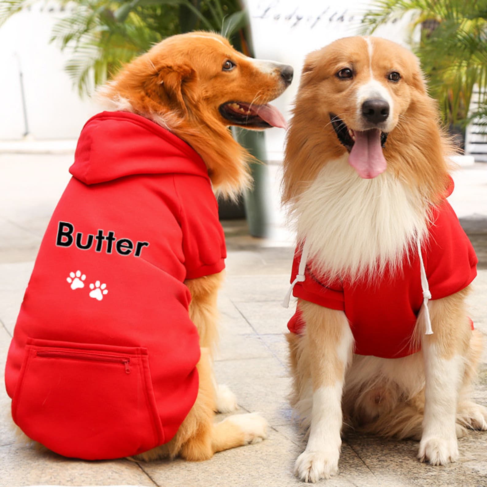 Personalized Warm Puppy Hoodie for Comfort & Unique | BKPet100