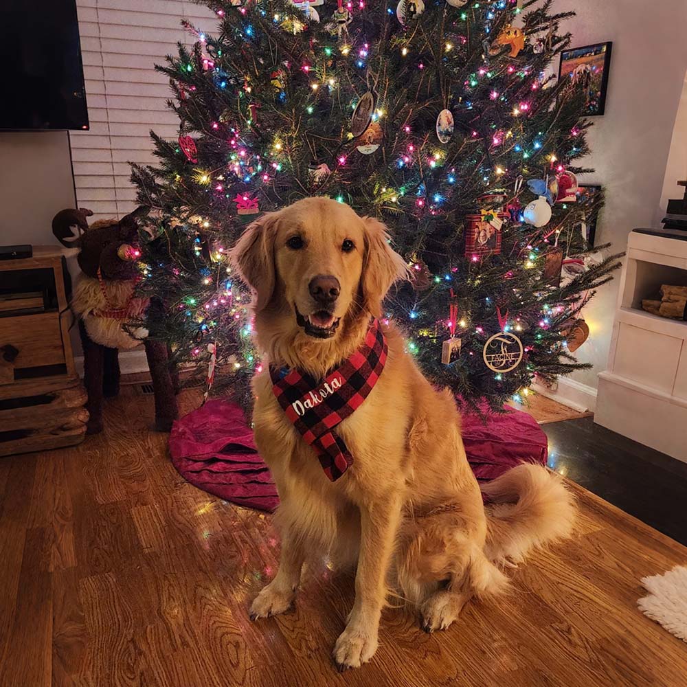 Personalized Pets Christmas Adjustable Plaid Scarf | BKPet642