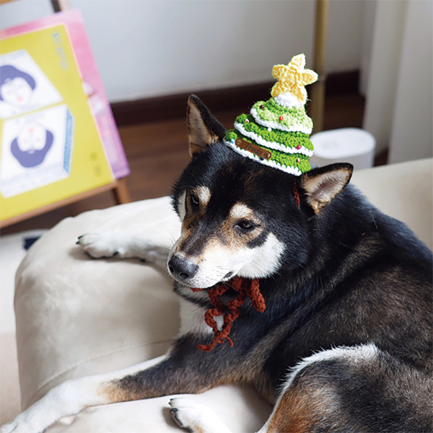 Personalized Crochet Leather Patch Christmas Tree Pet Hat | MCGift79