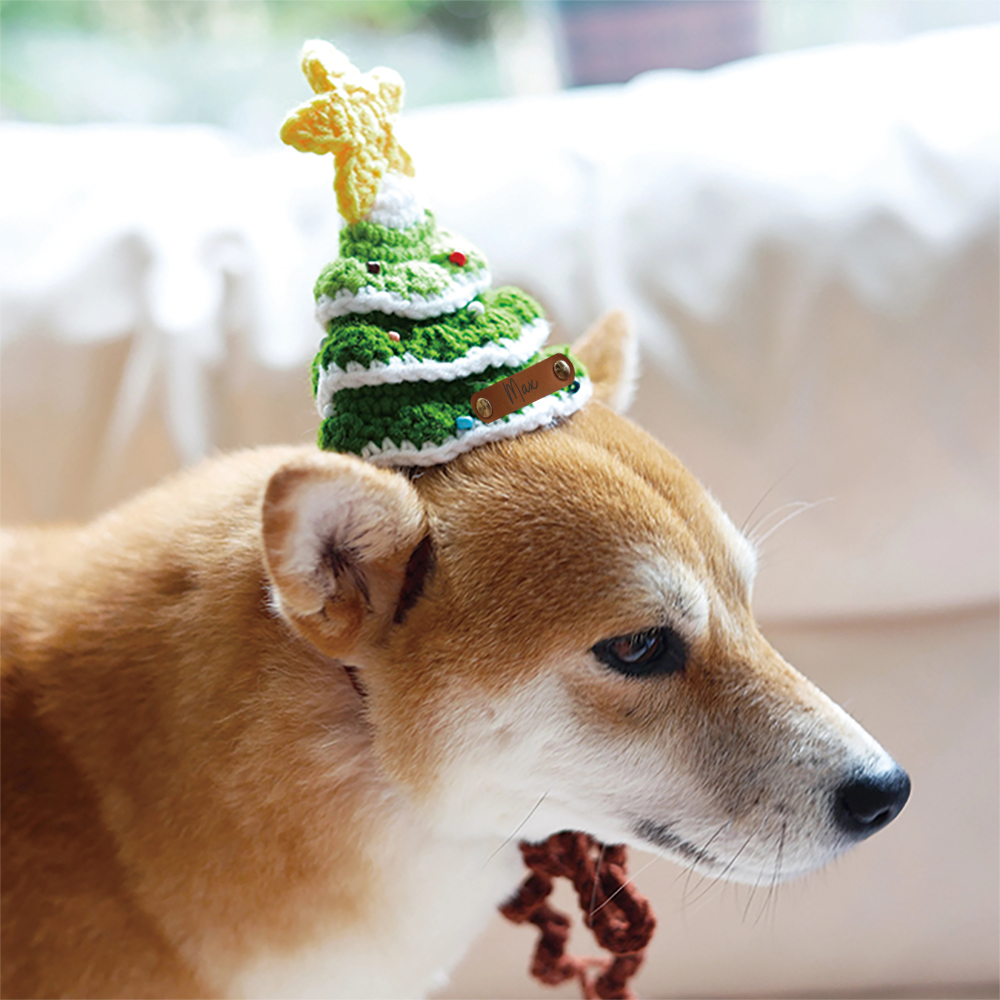 Personalized Crochet Leather Patch Christmas Tree Pet Hat | MCGift79