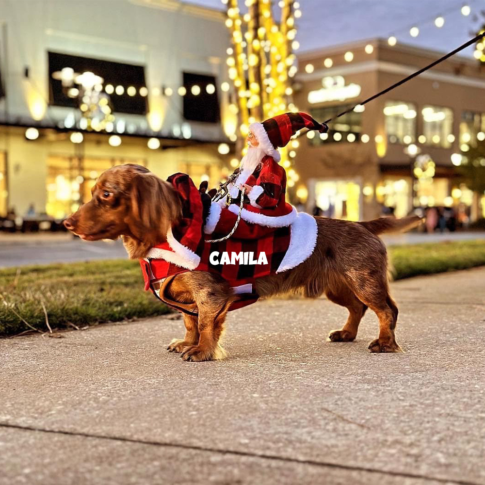 Personalized Christmas Santa Pet Riding Clothes | BKPet96