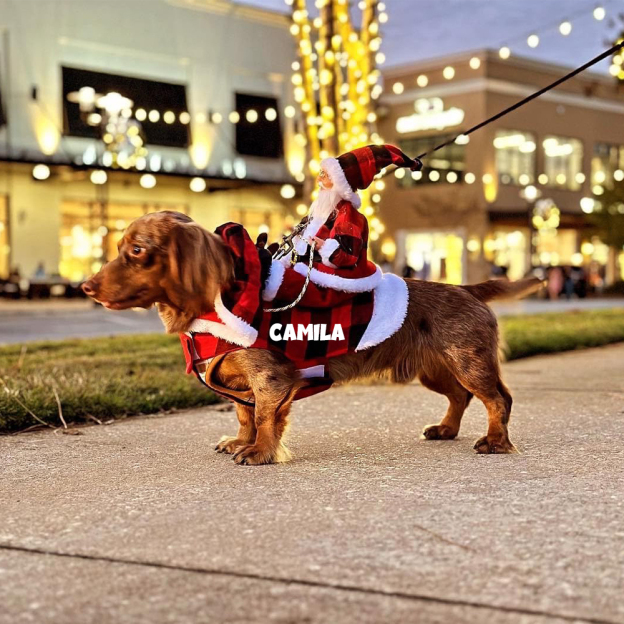 Personalized Christmas Santa Pet Riding Clothes | BKPet96