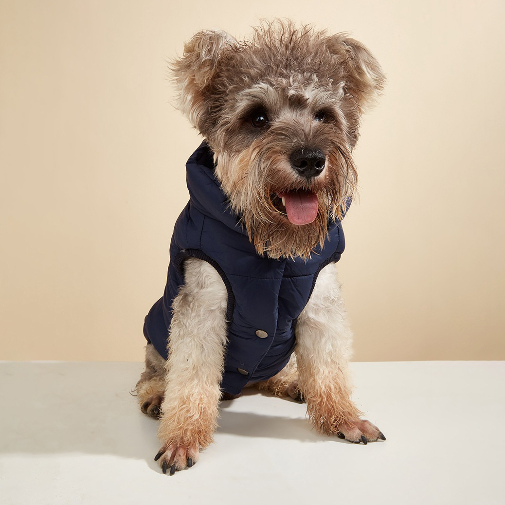 Personalized Pet Winter Warm Puffer Vest | BKPet14801